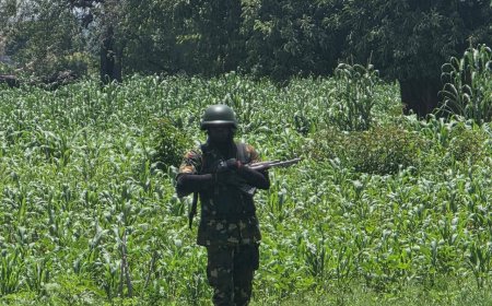 Soldier d!es defending Plateau community as troops repel attack by bandits
