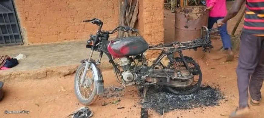 Terrorists k!ll 30, including women and children in fresh Southern Kaduna attack