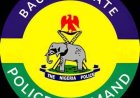 Police arrest suspect, hunt two others for allegedly k!lling 30-year-old woman accused of witchcraft in Bauchi