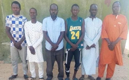 Troops apprehend suspected terrorist collaborators, family of ISWAP Finance Chief surrenders