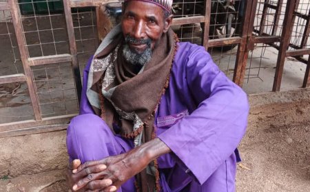 Troops arrest suspected terrorist informant in Adamawa