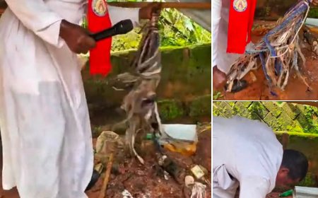 Trending video of Catholic priest destroying shrine with his bare hands