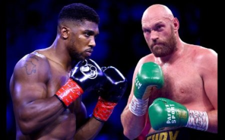 Tyson Fury vs Anthony Joshua fight will take place in November