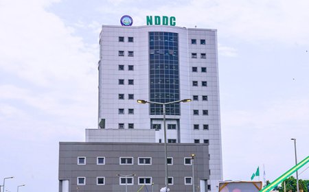 Oil and gas firms remitted $6.7bn and ₦1.5tn in four years - RMAFC tells senate
